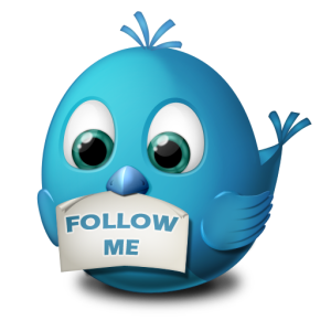 twitter-follow-me-icon